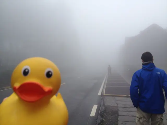 Ducky im Nebel am Wudang Shan